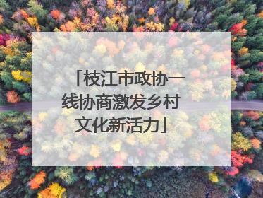 枝江市政协一线协商激发乡村文化新活力