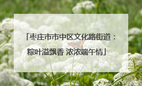 枣庄市市中区文化路街道：粽叶溢飘香 浓浓端午情
