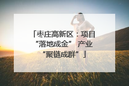 枣庄高新区：项目“落地成金” 产业“聚链成群”
