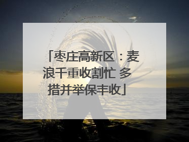枣庄高新区：麦浪千重收割忙 多措并举保丰收
