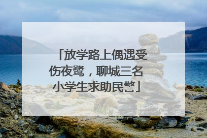 放学路上偶遇受伤夜鹭，聊城三名小学生求助民警