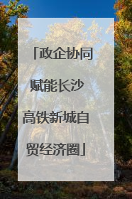 政企协同 赋能长沙高铁新城自贸经济圈