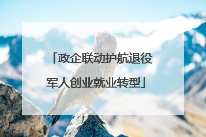政企联动护航退役军人创业就业转型