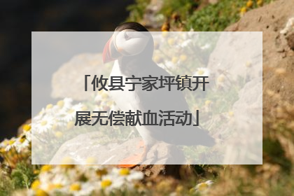 攸县宁家坪镇开展无偿献血活动