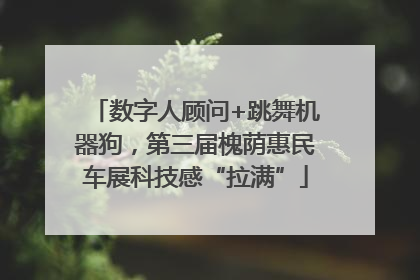 数字人顾问+跳舞机器狗，第三届槐荫惠民车展科技感“拉满”