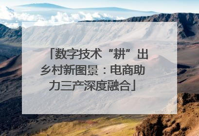 数字技术“耕”出乡村新图景：电商助力三产深度融合