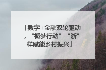 数字+金融双轮驱动，“栀梦行动”“浙”样赋能乡村振兴