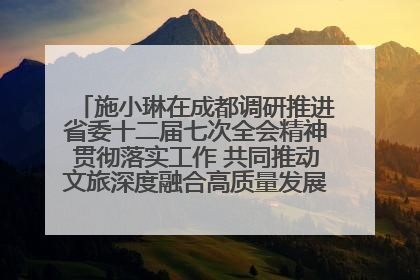 施小琳在成都调研推进省委十二届七次全会精神贯彻落实工作 共同推动文旅深度融合高质量发展 加快打造支柱产业民生产业幸福产业