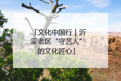 文化中国行｜沂蒙老区“守艺人”的文化匠心