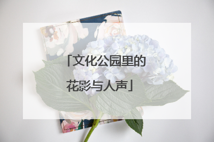 文化公园里的花影与人声