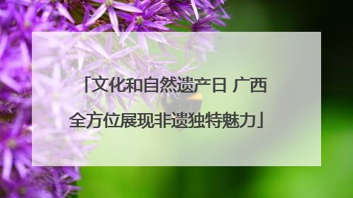 文化和自然遗产日 广西全方位展现非遗独特魅力