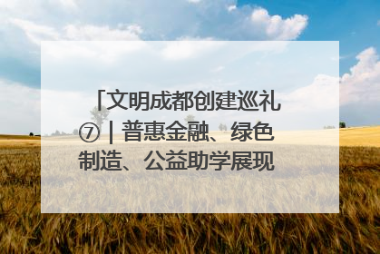 文明成都创建巡礼⑦｜普惠金融、绿色制造、公益助学展现城市文明底色