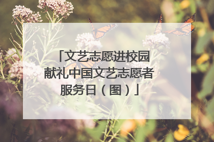 文艺志愿进校园 献礼中国文艺志愿者服务日（图）