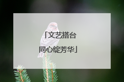 文艺搭台 同心绽芳华