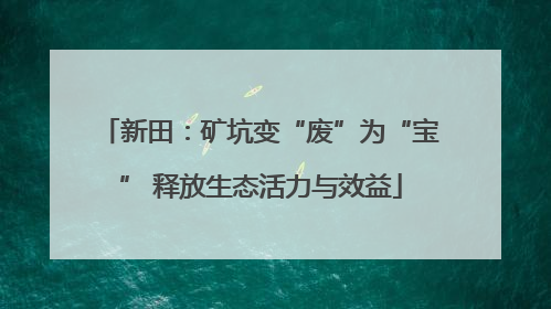 新田：矿坑变“废”为“宝” 释放生态活力与效益