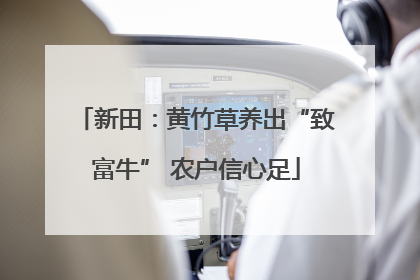 新田：黄竹草养出“致富牛” 农户信心足