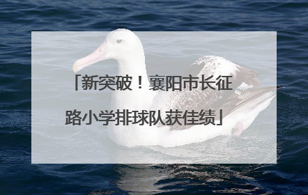 新突破！襄阳市长征路小学排球队获佳绩