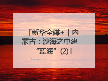 新华全媒+｜内蒙古：沙海之中建“蓝海”(2)