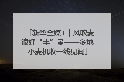 新华全媒+｜风吹麦浪好“丰”景——多地小麦机收一线见闻