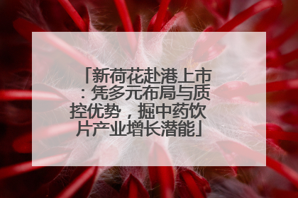 新荷花赴港上市：凭多元布局与质控优势，掘中药饮片产业增长潜能