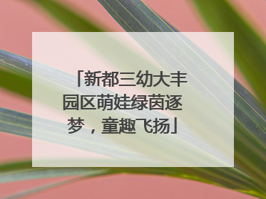 新都三幼大丰园区萌娃绿茵逐梦，童趣飞扬