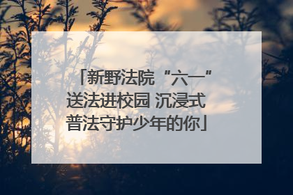 新野法院“六一”送法进校园 沉浸式普法守护少年的你