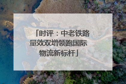 时评：中老铁路量效双增领跑国际物流新标杆