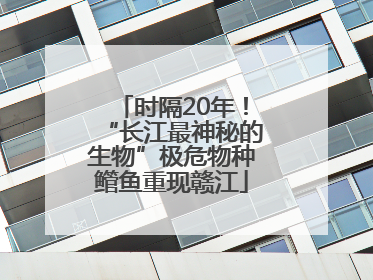 时隔20年！“长江最神秘的生物”极危物种鳤鱼重现赣江
