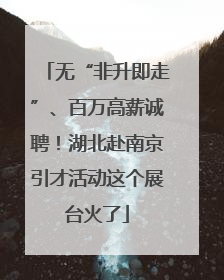 无“非升即走”、百万高薪诚聘！湖北赴南京引才活动这个展台火了