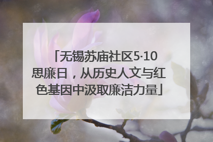 无锡苏庙社区5·10思廉日，从历史人文与红色基因中汲取廉洁力量