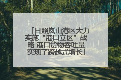 日照岚山港区大力实施“港口立区”战略 港口货物吞吐量实现了跨越式增长