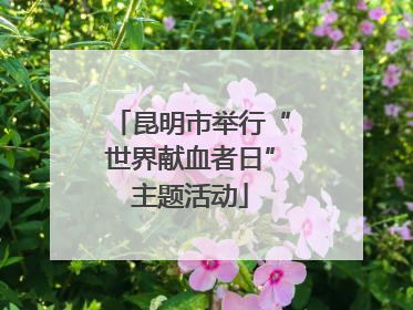 昆明市举行“世界献血者日”主题活动