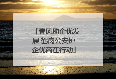 春风助企优发展 鹤岗公安护企优商在行动