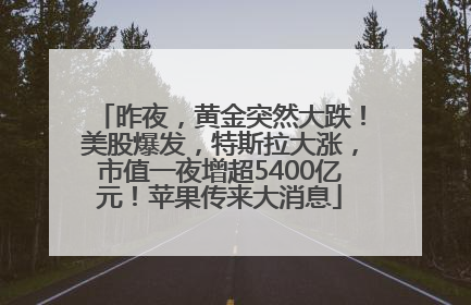 昨夜，黄金突然大跌！美股爆发，特斯拉大涨，市值一夜增超5400亿元！苹果传来大消息