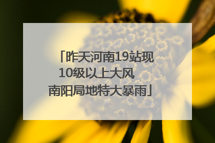 昨天河南19站现10级以上大风  南阳局地特大暴雨