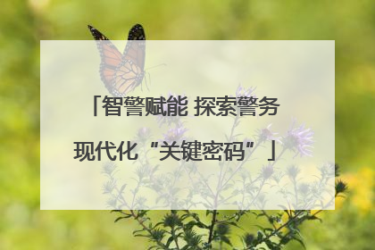 智警赋能 探索警务现代化“关键密码”