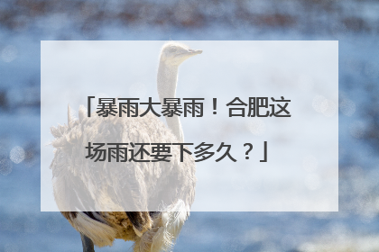 暴雨大暴雨！合肥这场雨还要下多久？