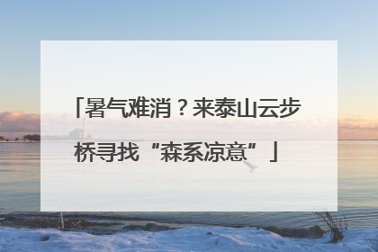 暑气难消？来泰山云步桥寻找“森系凉意”