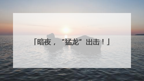 暗夜，“猛龙”出击！