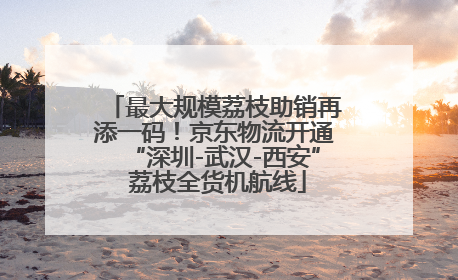 最大规模荔枝助销再添一码！京东物流开通“深圳-武汉-西安” 荔枝全货机航线