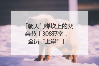 朝天门梯坎上的父亲节丨308寝室，全员“上岸”