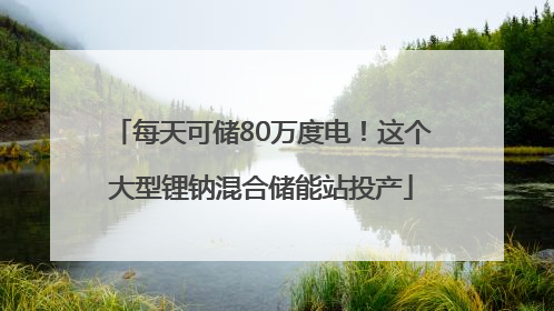 每天可储80万度电！这个大型锂钠混合储能站投产