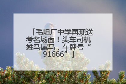 毛坦厂中学再现送考名场面！头车司机姓马属马，车牌号“91666”