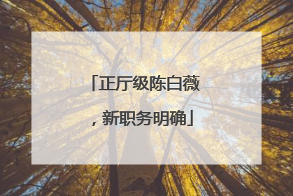 正厅级陈白薇，新职务明确