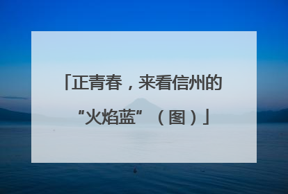 正青春，来看信州的“火焰蓝”（图）