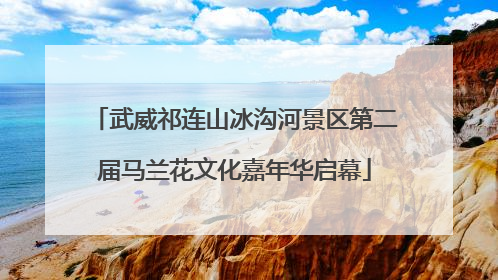 武威祁连山冰沟河景区第二届马兰花文化嘉年华启幕
