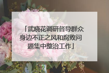 武晓花调研督导群众身边不正之风和腐败问题集中整治工作