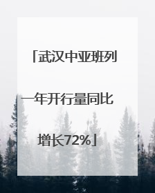 武汉中亚班列一年开行量同比增长72%