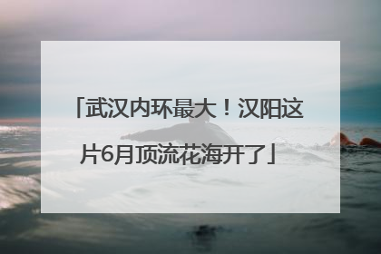 武汉内环最大！汉阳这片6月顶流花海开了
