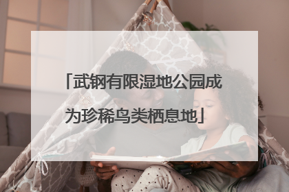 武钢有限湿地公园成为珍稀鸟类栖息地